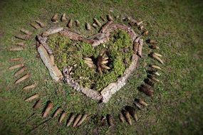 Pine cones laid out in the form of hearts on a grass