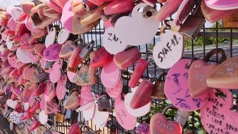 pink locks in the form of hearts on the bridge