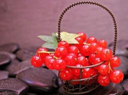 red currant in the small iron basket