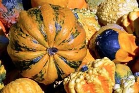 yellow pumpkins lie on a pile