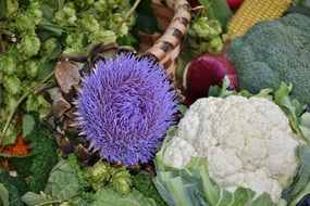 set for vegetarian food
