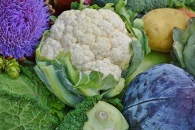various vegetables
