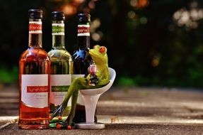 white, rose and red wine and a toy frog on a chair
