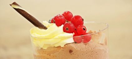 currant and whipped cream dessert