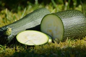 Zucchini Vegetables