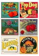 Vintage fruit labels