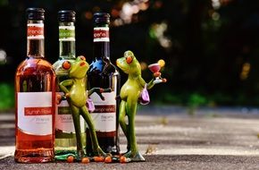 two toy Frogs communicating at Wine bottles