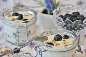 blueberry yogurt