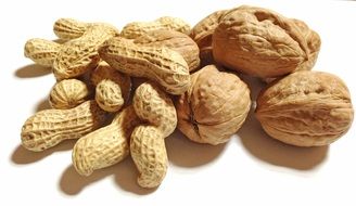 walnuts and peanuts on the table