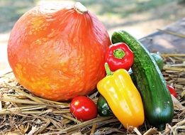 vegetables on straw