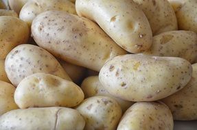 white Potatoes Vegetables
