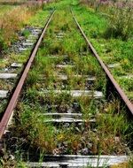 grassy railway tracks