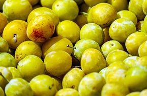 A lot of the yellow plums