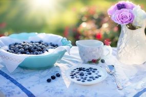 breakfast with blueberries in white dishes