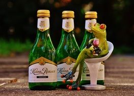 frog drinking wine