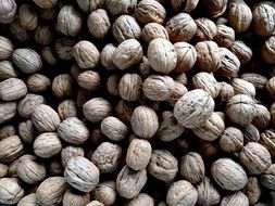 Walnuts Nuts Food