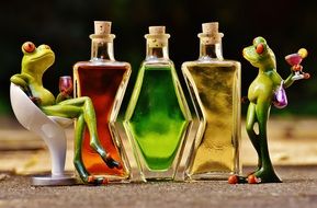 frogs and beverages