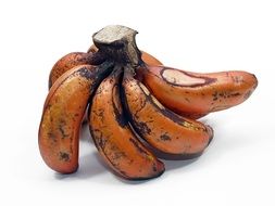 photo of Red Dacca Bananas