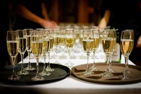 glasses filled with wine on trays