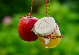 Apple compote in a garden close-up on blurred background