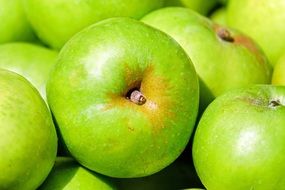 green apples in bright sun close up