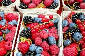 dainty Berries Fruit