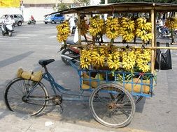 old Bicycle loaded with Bananas for sale on street, Vietnam