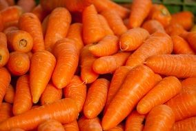 lot of washed carrots close-up