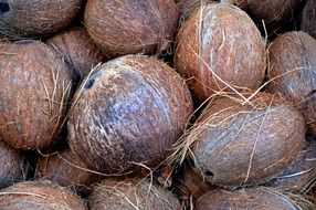 Coconuts in the market