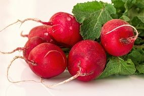 red ripe radish for salad