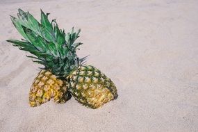 Pineapples on Sand Beach summer scene