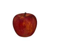 Colorful apple with ponytail on a white background