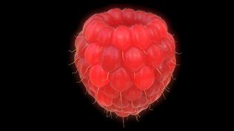 Red Raspberry Fruit at dark background, 3D render