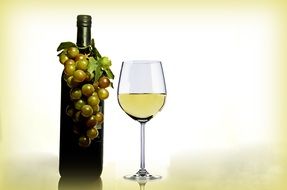 Wine in glass and bottle decorated with grapes