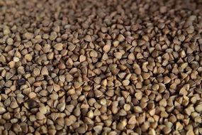 buckwheat for healthy eating