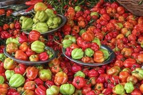 Sweet red and yellow paprika
