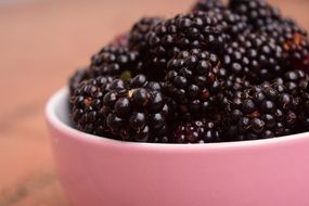 Blackberries Bowl