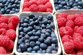 boxes with blueberries and raspberries