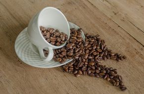 tasty and fresh Coffee Beans with white cup and white plate on the wooden surface