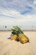 pineapples in the sand