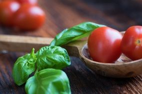 tomatoes and sprig of Basil