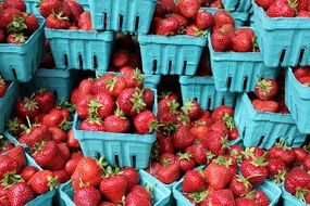 Strawberries Berries Fresh Fruit