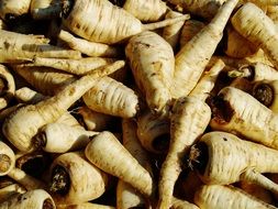 organic vegetable roots