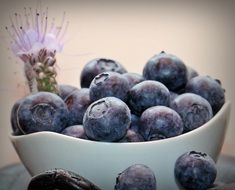 Delicious sweet fresh violet blueberries in the white bowl