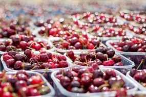 ripe cherries in transparent containers