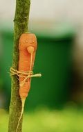 carrot is tied to the stem