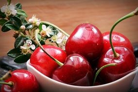 sweet red cherries