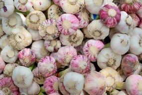 white-pink young garlic