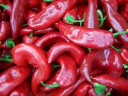 wallpaper with red peppers