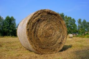 straw bale on the field